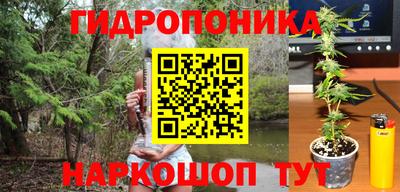 гидропоника Донской